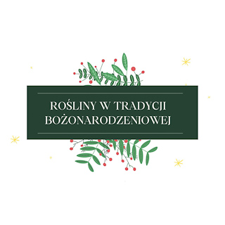wystawa - rośliny w tradycji bożonarodzeniowej